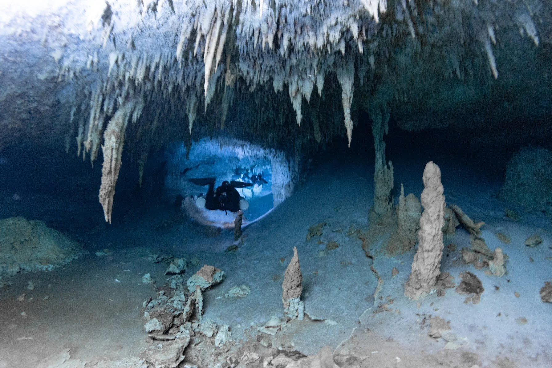 Photo credit: Spino Spinelli