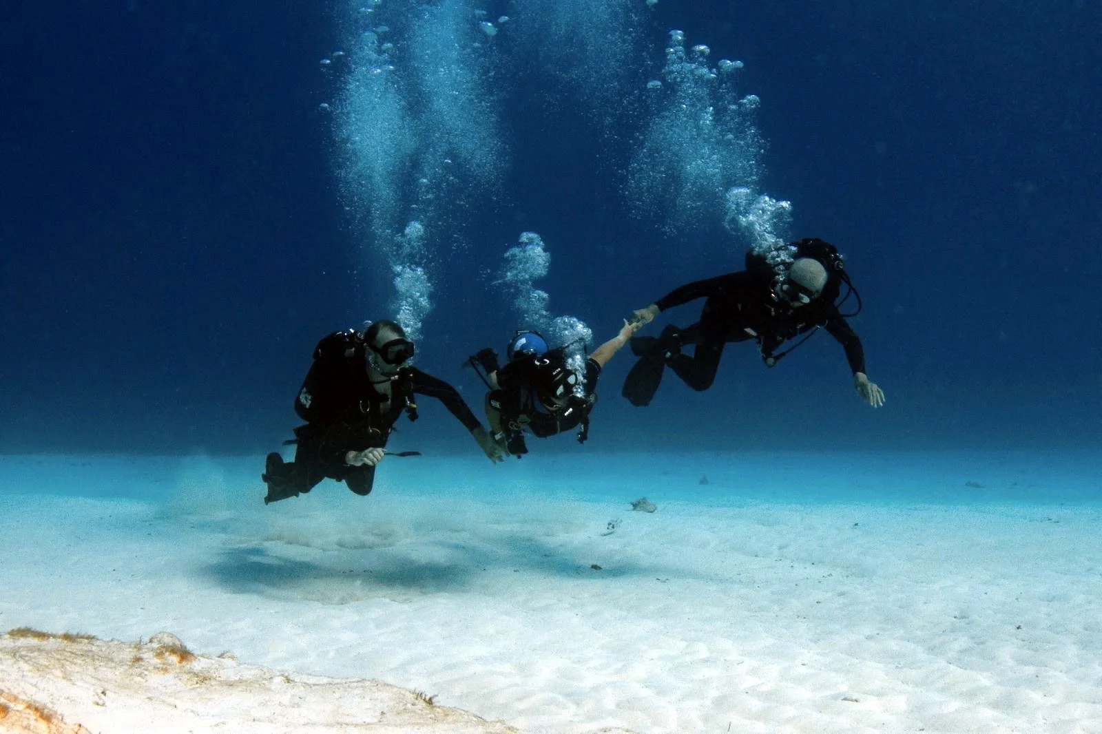 Photo credit: Olivia Bosies