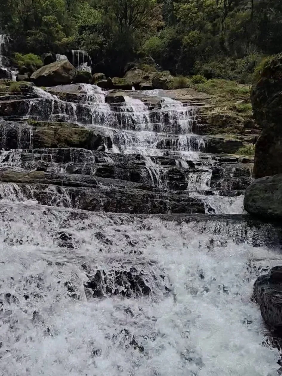 A cascading waterfall flowing over dark rocks surrounded by lush green trees.