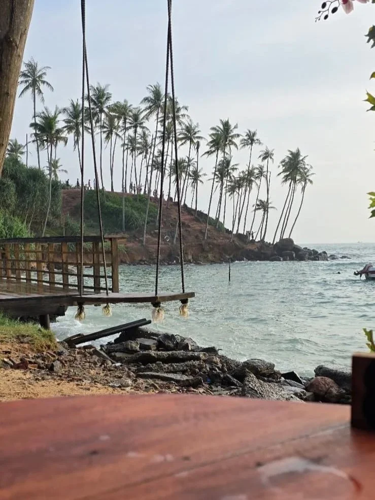 Mirissa, kokoso medžiai