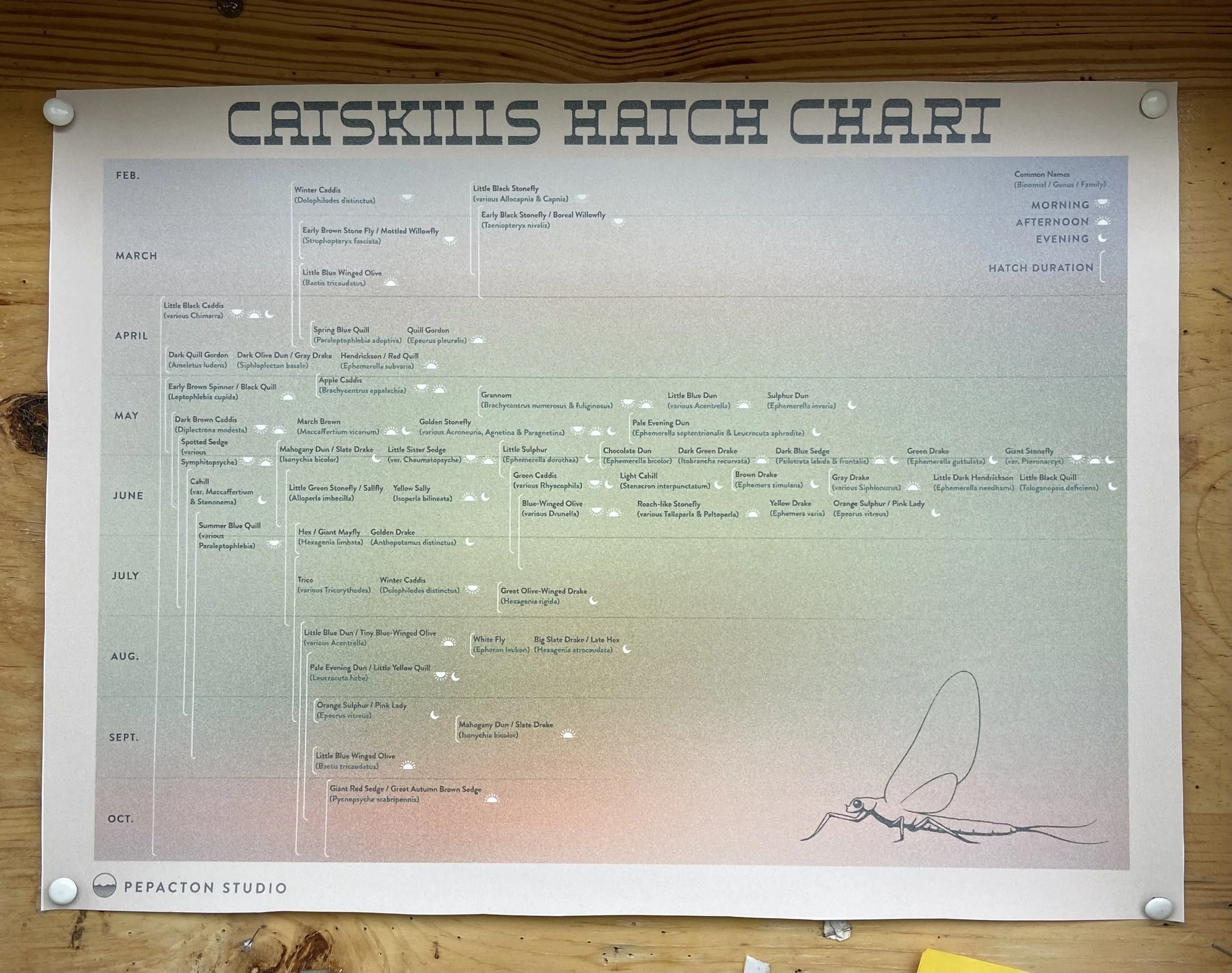 Hatch_Chart.jpg