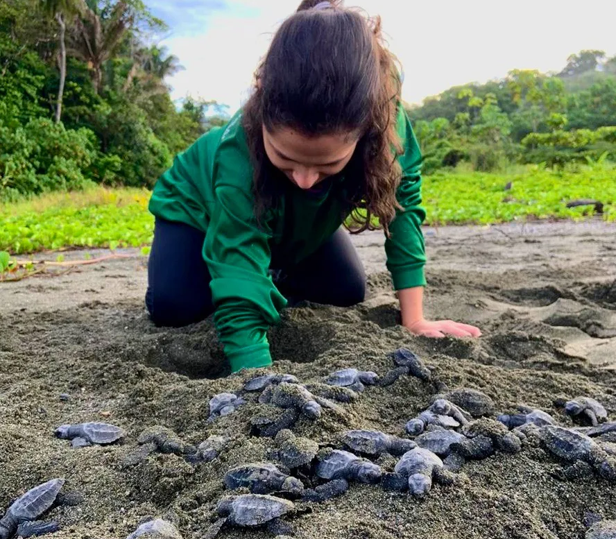 Student assisting with turtle hatching 