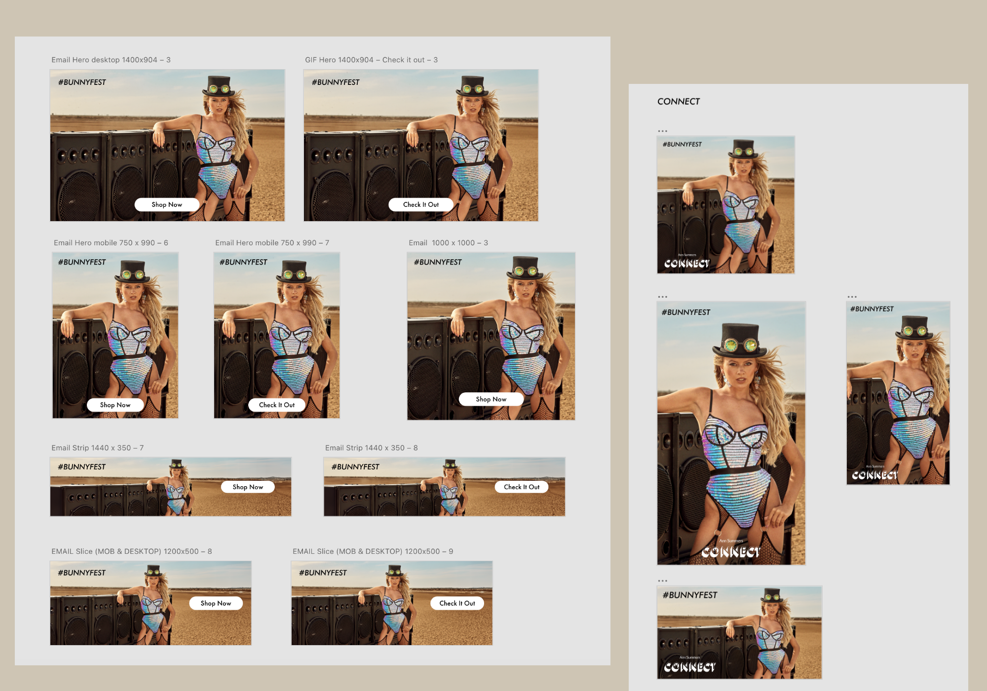 Ann Summers PPP 1 – 12.png