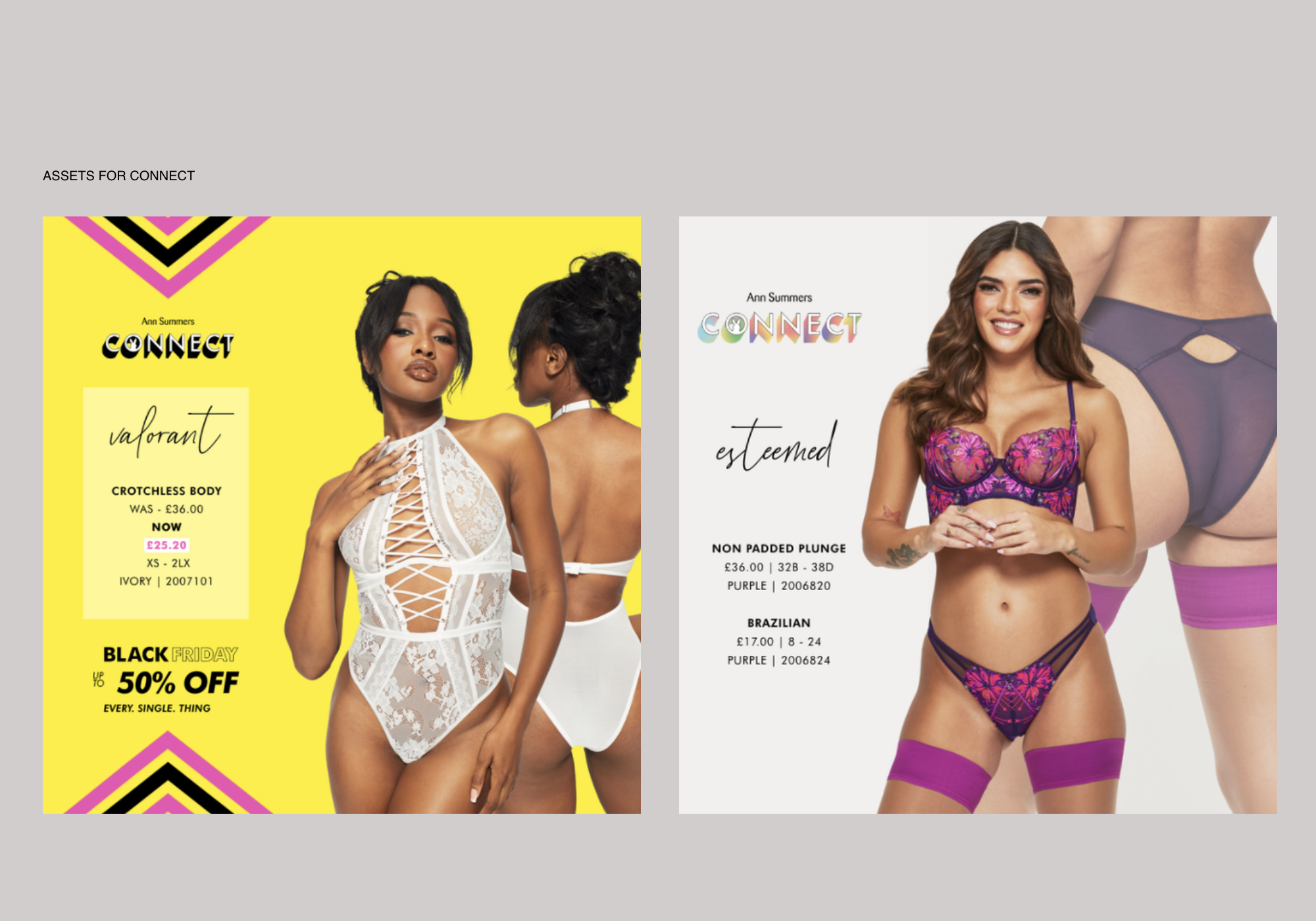 Assets Connect – 4.png
