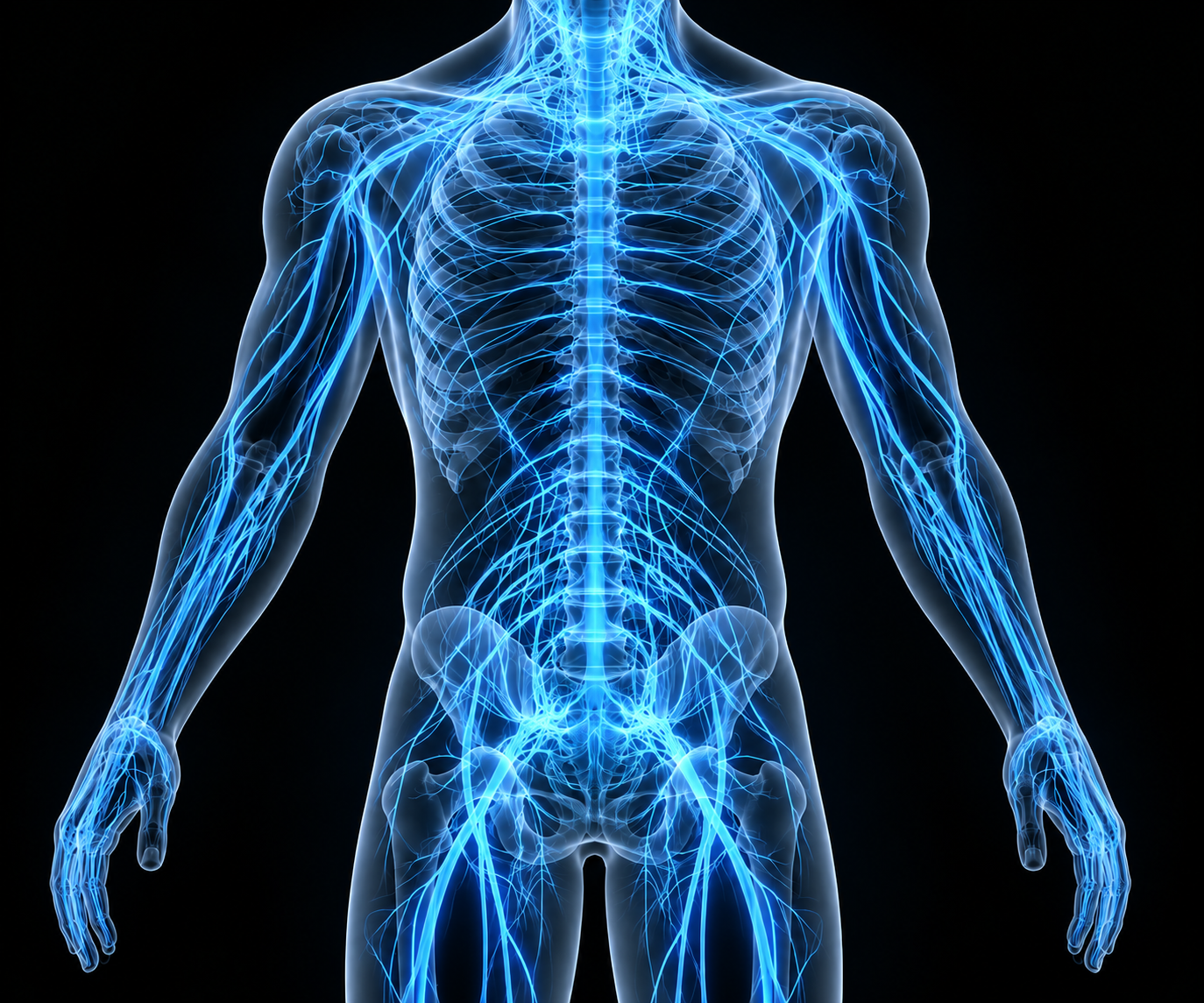 Digital illustration of a human upper torso highlighting the nervous system in blue against a black background.