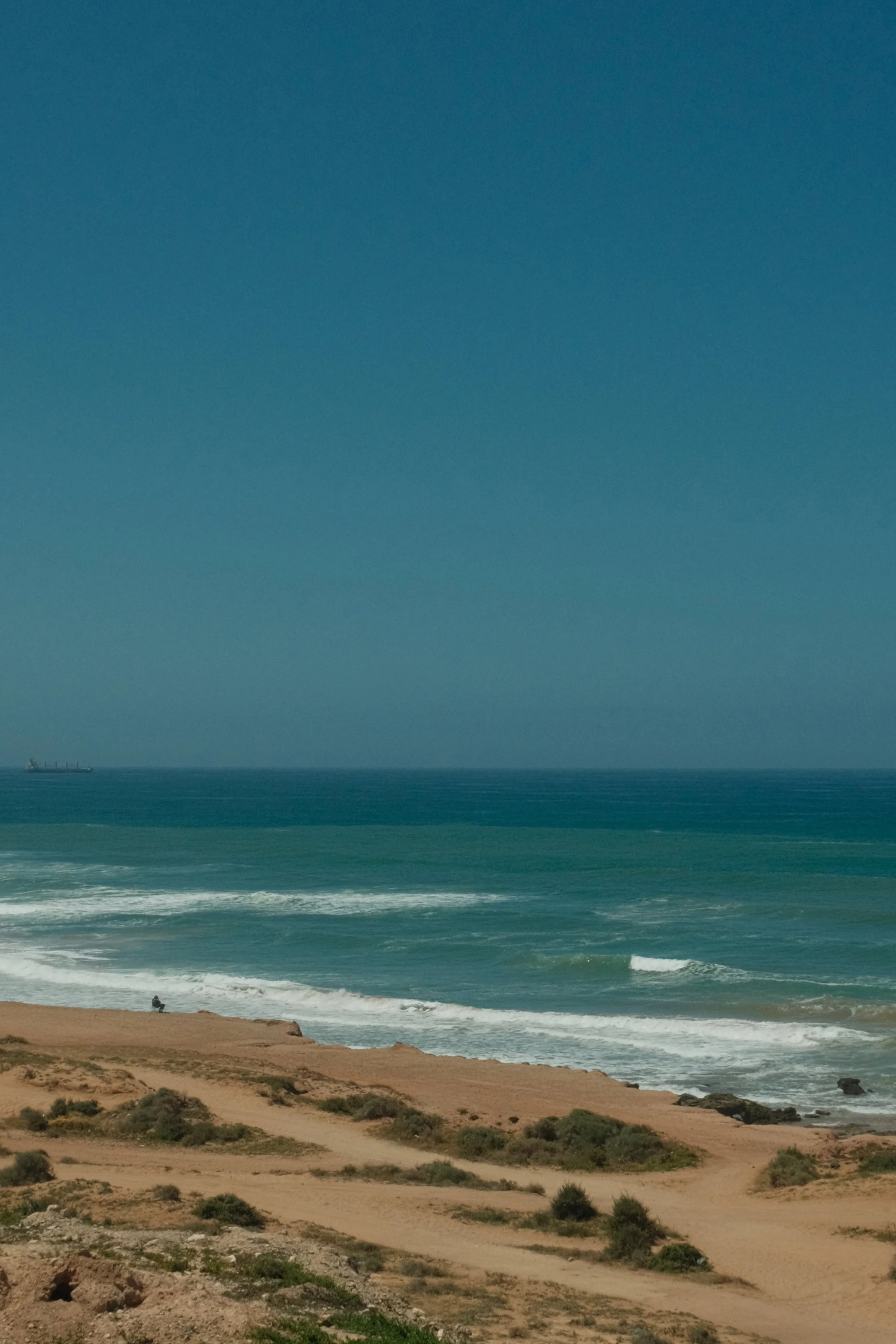DSCF8967.JPG
