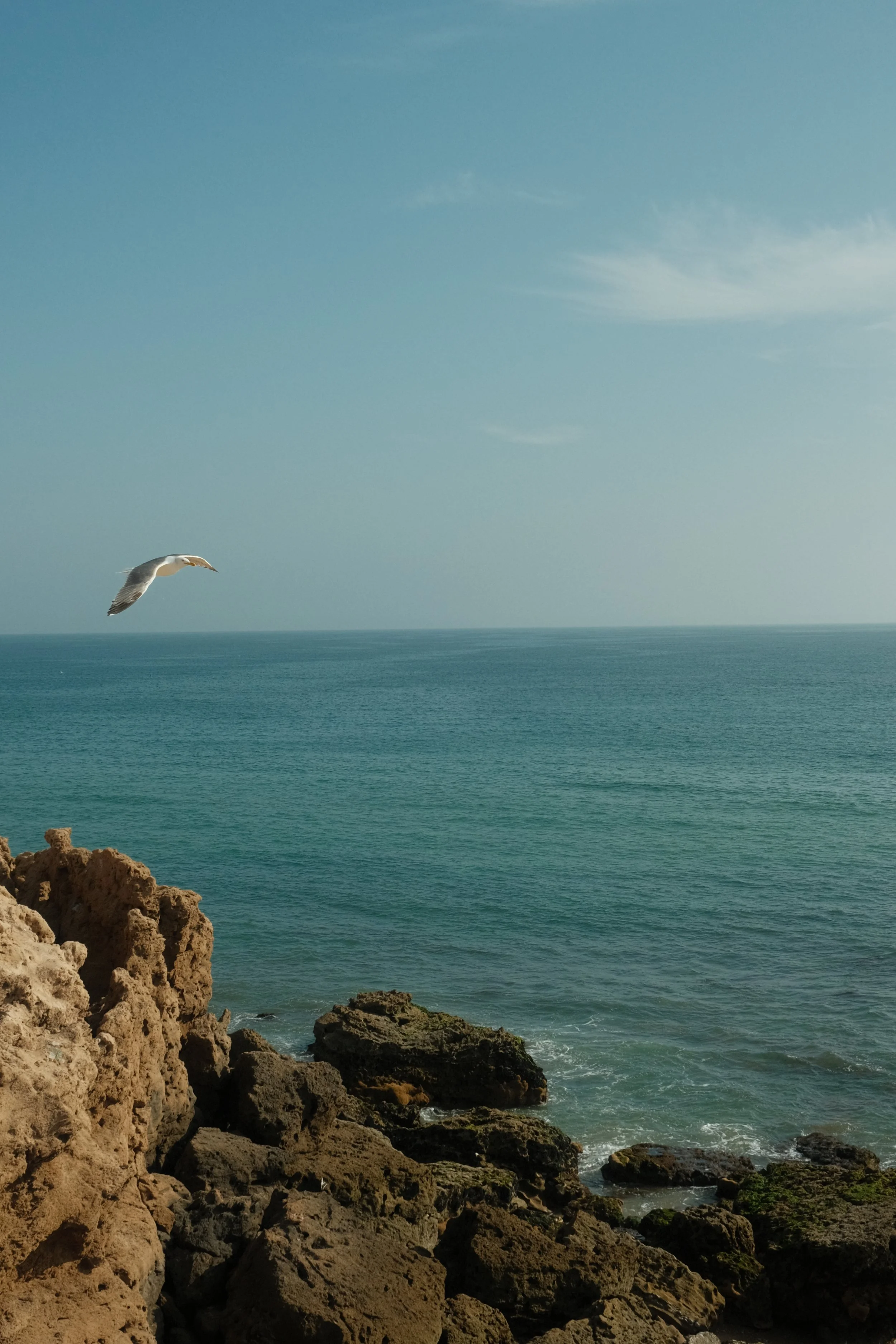 DSCF8434 1.JPG