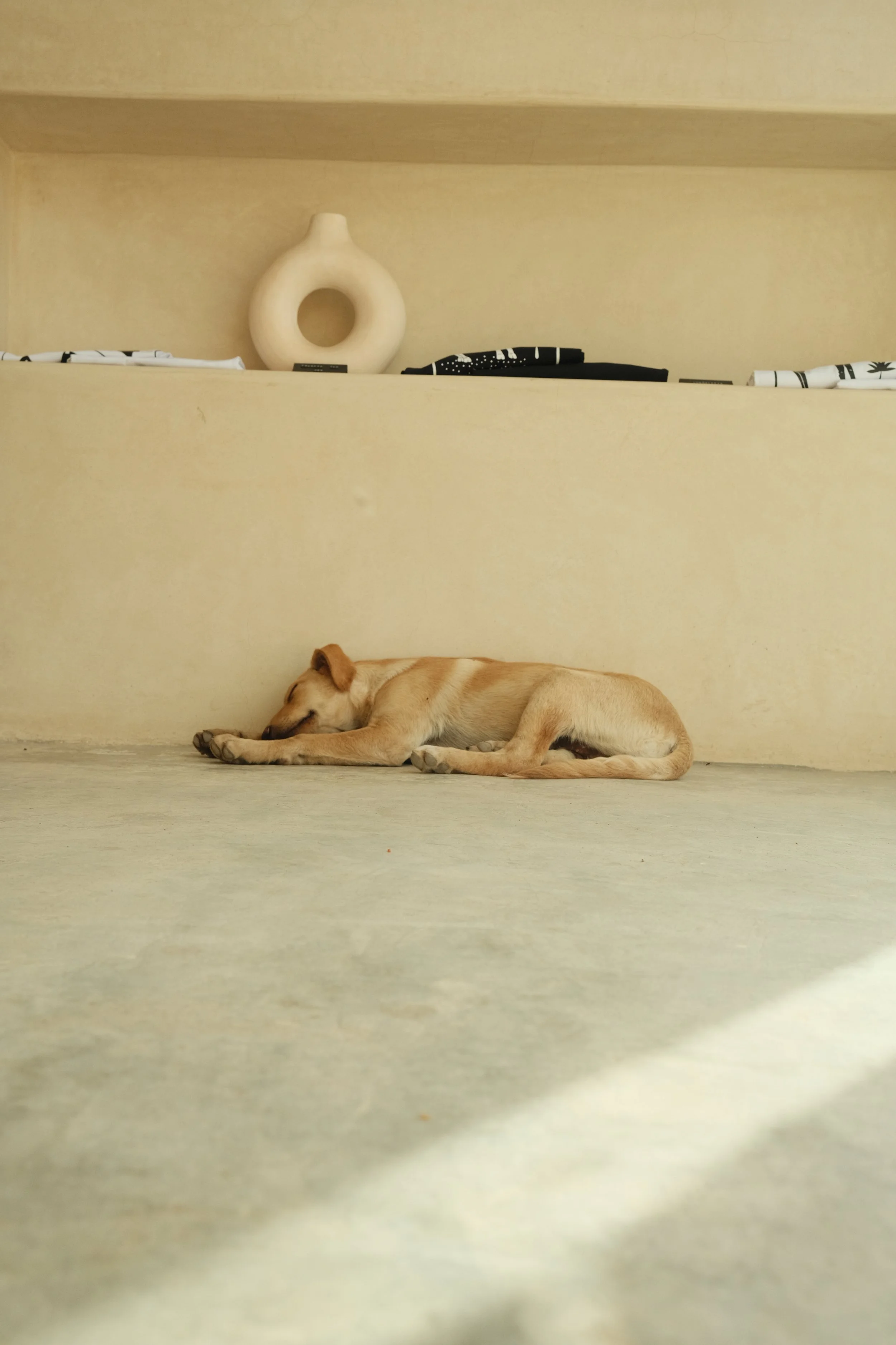 © Cornelia Hänchen