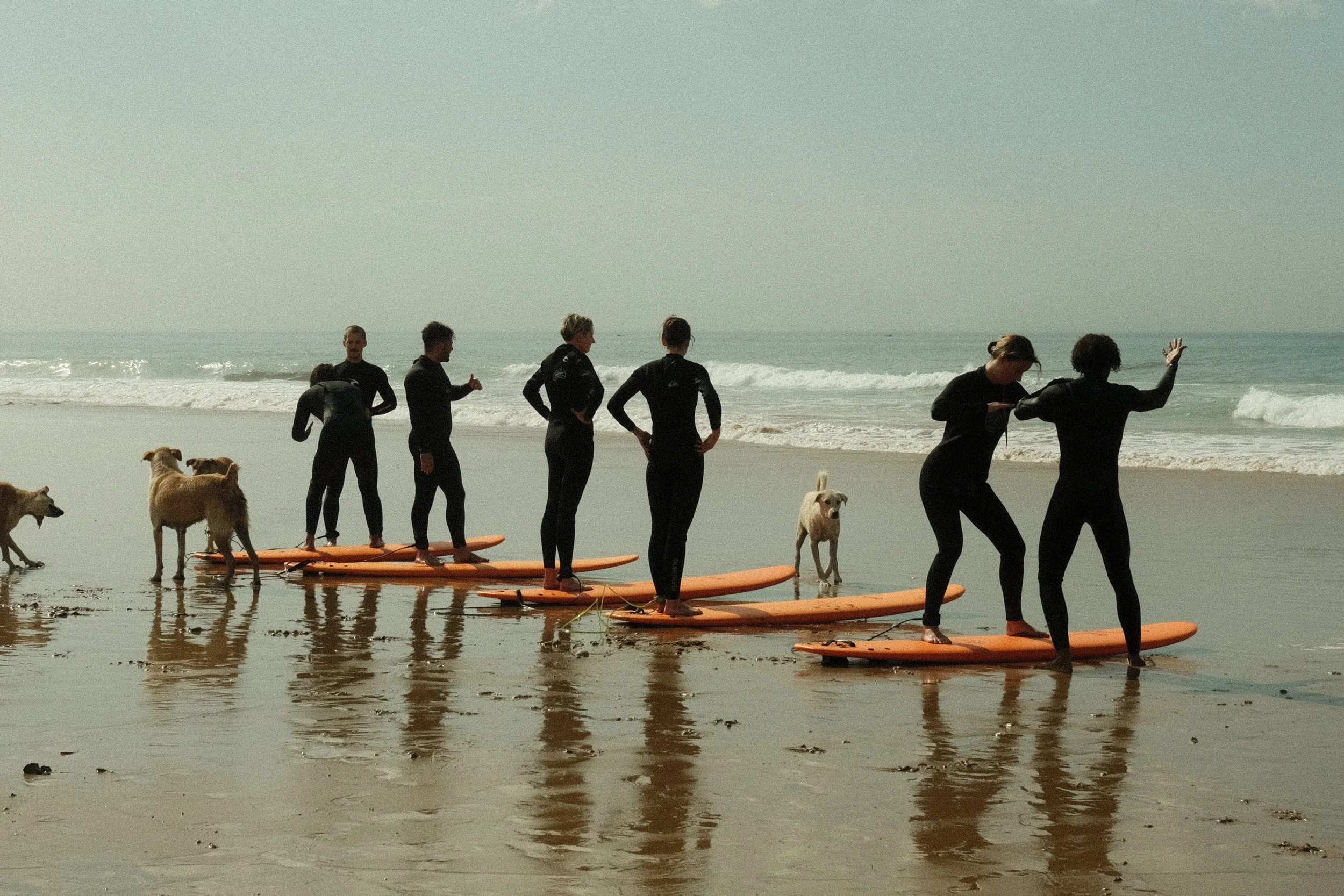 © Cornelia Hänchen