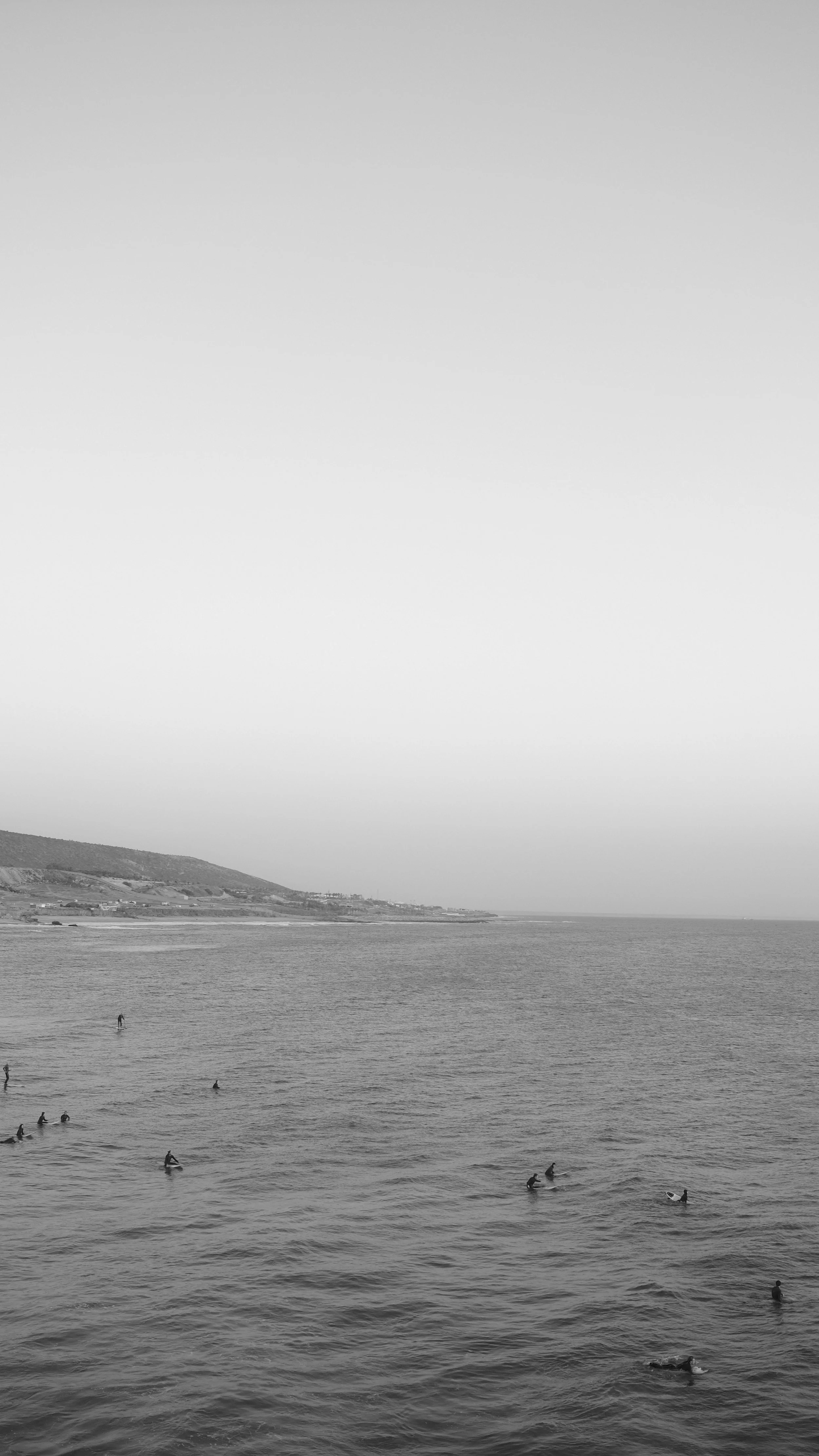 DSCF8339.jpg