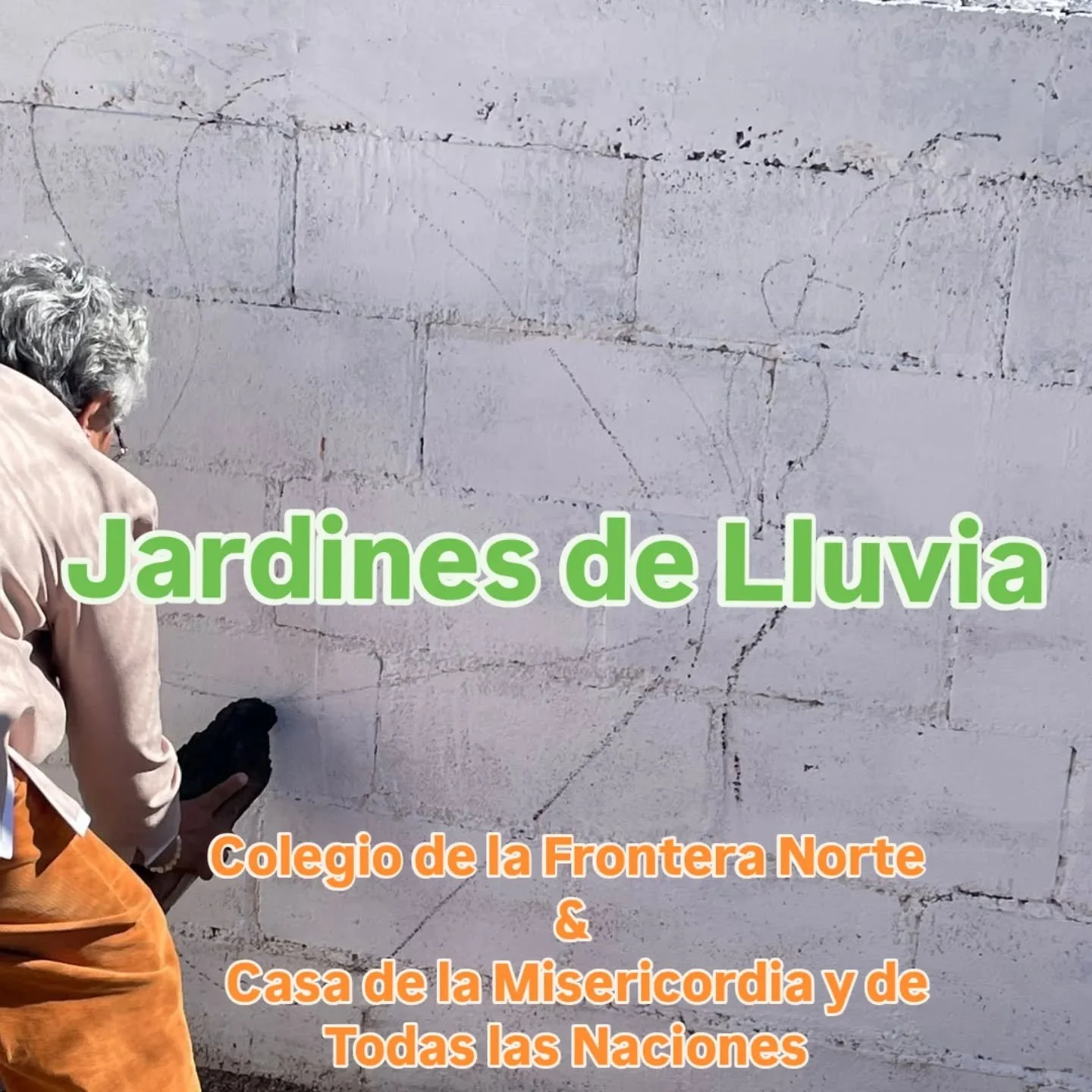Jardines de lluvia: Intervenir y Modificar el Ambiente de Manera Responsable

Una colaboraci&oacute;n entre @casamtn_org y @colefnogales en generar un espacio de vegetaci&oacute;n nativa qu&eacute; captura y absorbe agua de lluvia. 

Generando un cam