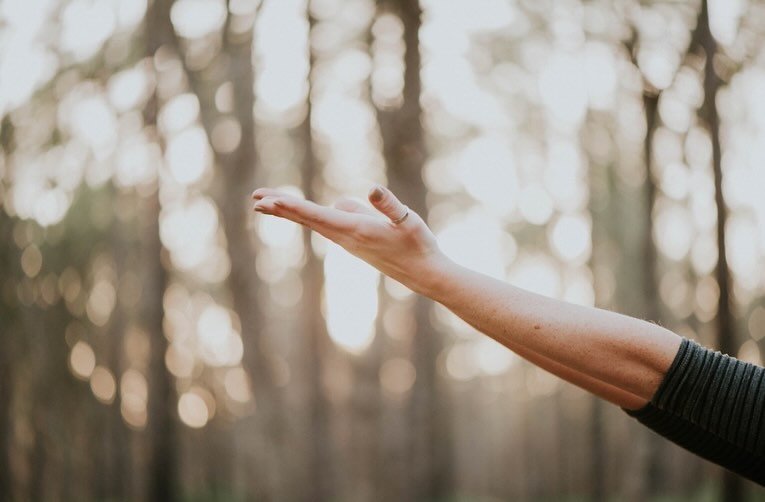 A 4-Day Whole Food Plant-Based Immersion in the Ozarks MAY 3-7, 2024

Optimize Well-Being. Enhance Vitality.
.
Learn How to Prevent + Reverse Disease.
.
Savor Delicious Plant-Based Meals.
.
Explore Meditation, Gentle Yoga, Walks in Nature.

Join Cynt