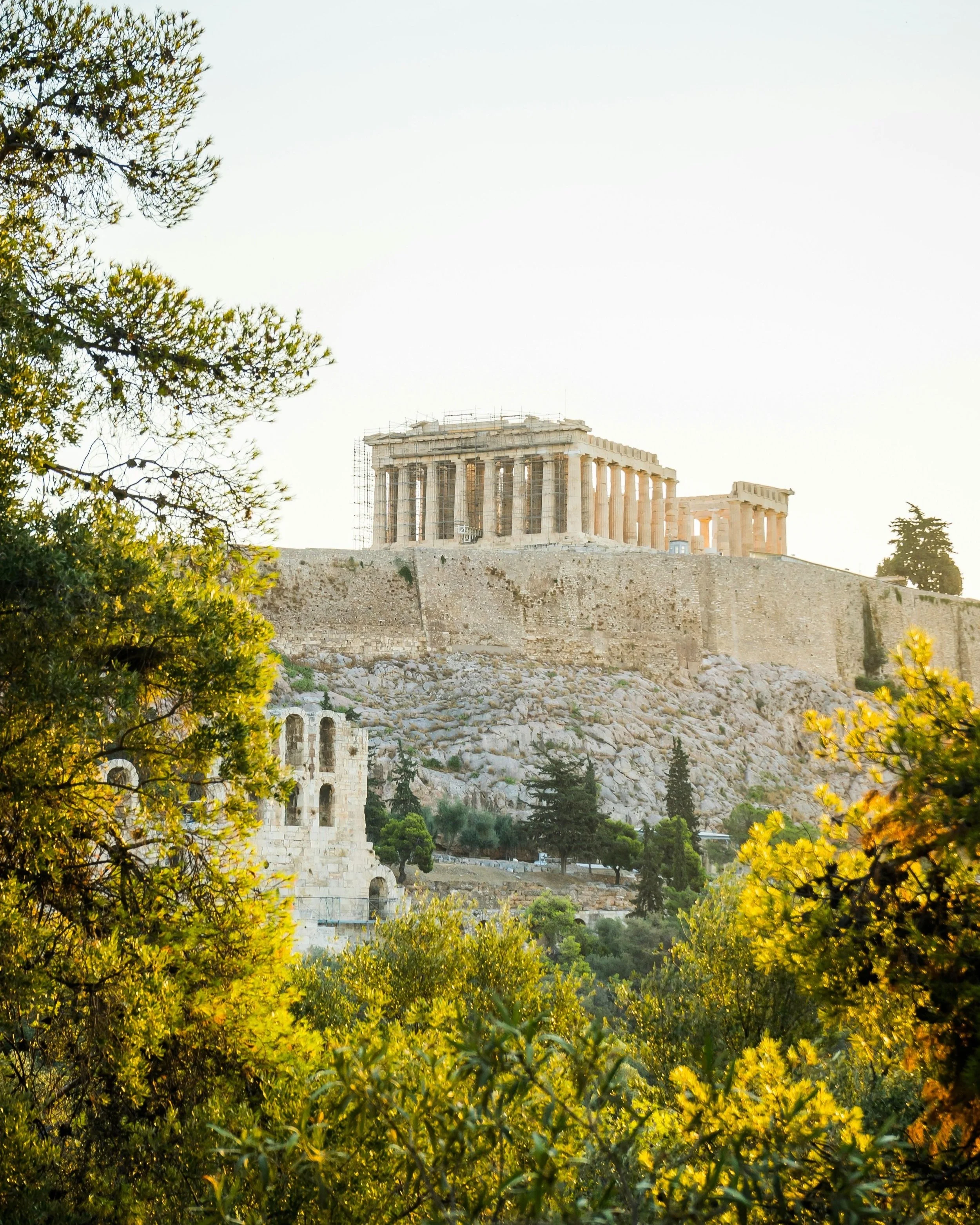 acropolis-trees.jpg
