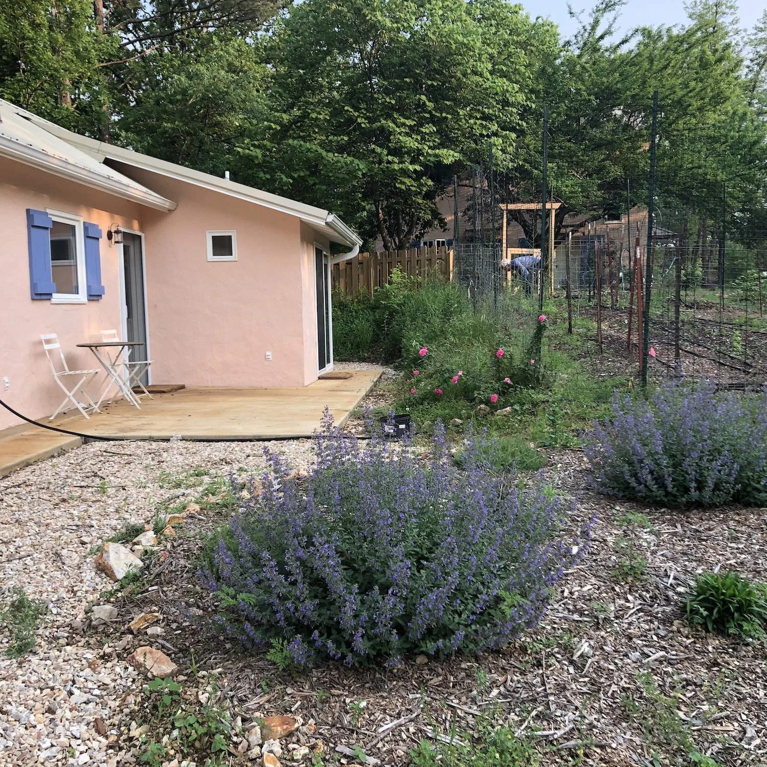 tiny house patio-perennial garden.jpg