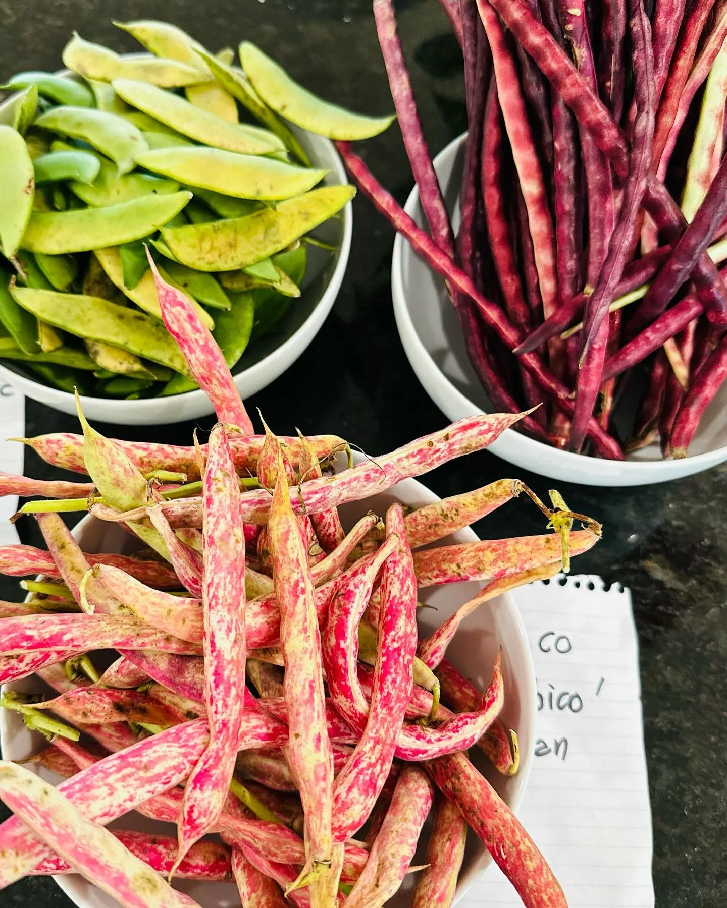 What&rsquo;s in season in Arkansas? Magnificent fresh shelling beans &hellip; heirloom varieties from farmer Larry Lowman of Ridgecrest Gardens, Purple Hulled Whipporwill pea, the fantastic pink speckled Coco Robico bean and Larry&rsquo;s own Faerie 