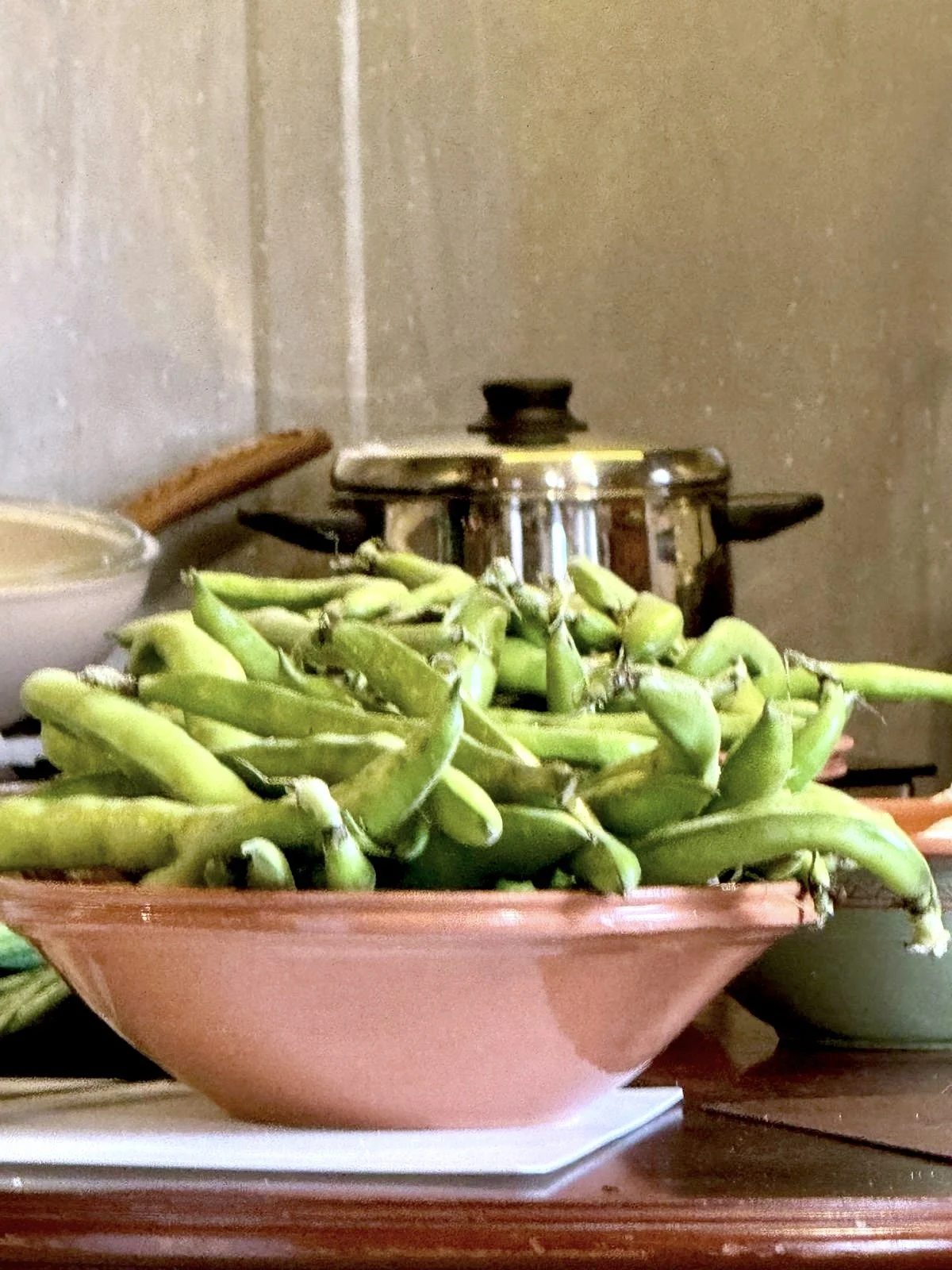 greek fava beans.jpg