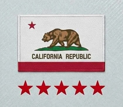 California State Tax Audit