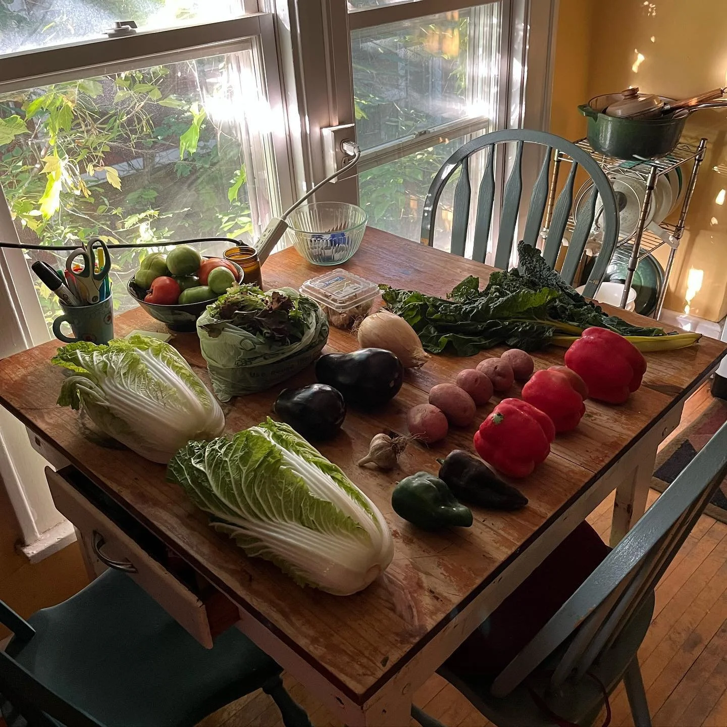 Fall CSA box courtesy of @shepherdmoonfarm