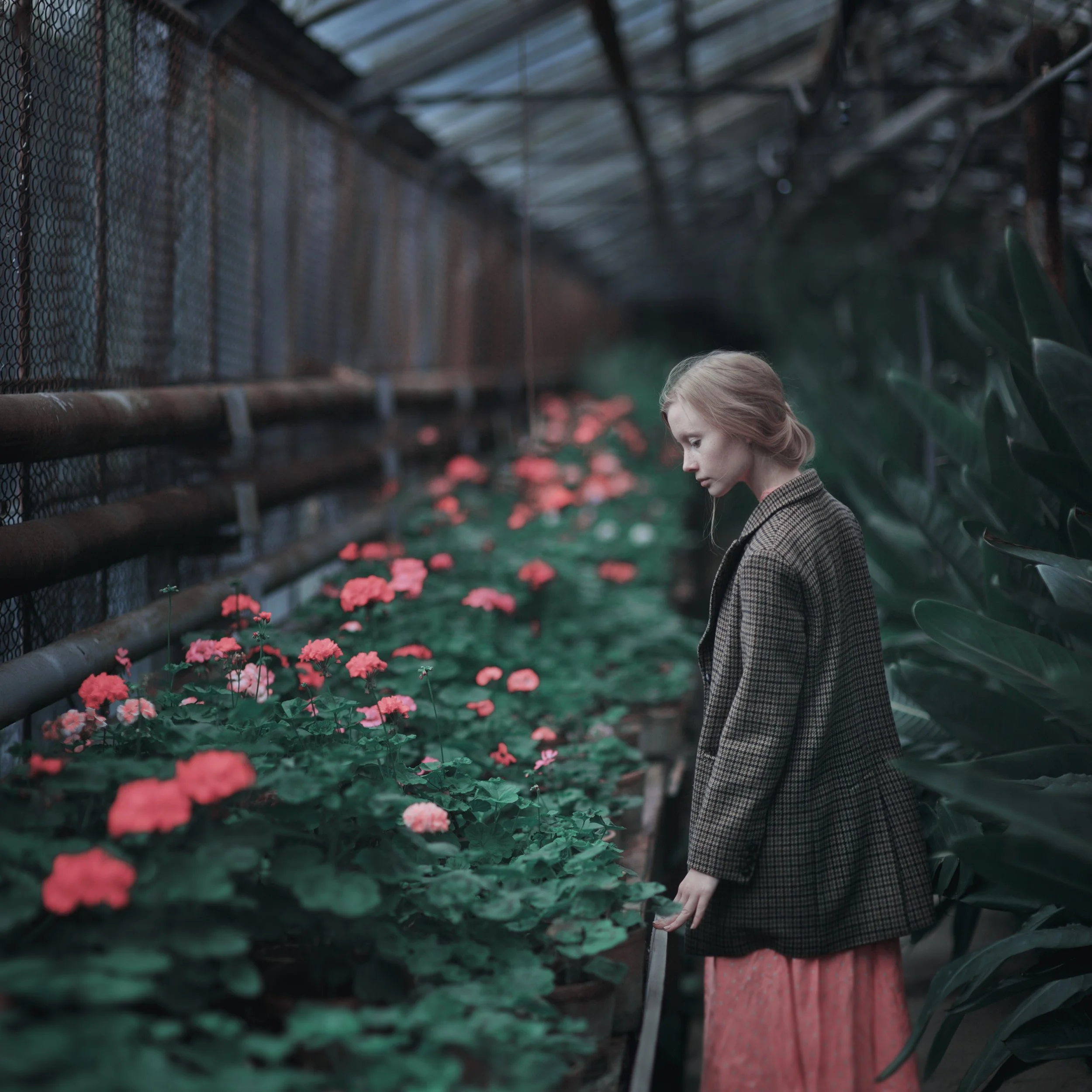 a-flower_sm.jpeg