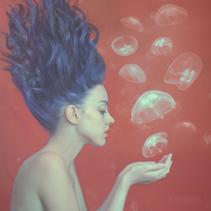 mozhina_jellyfish_my_fav_temp_sm.jpeg
