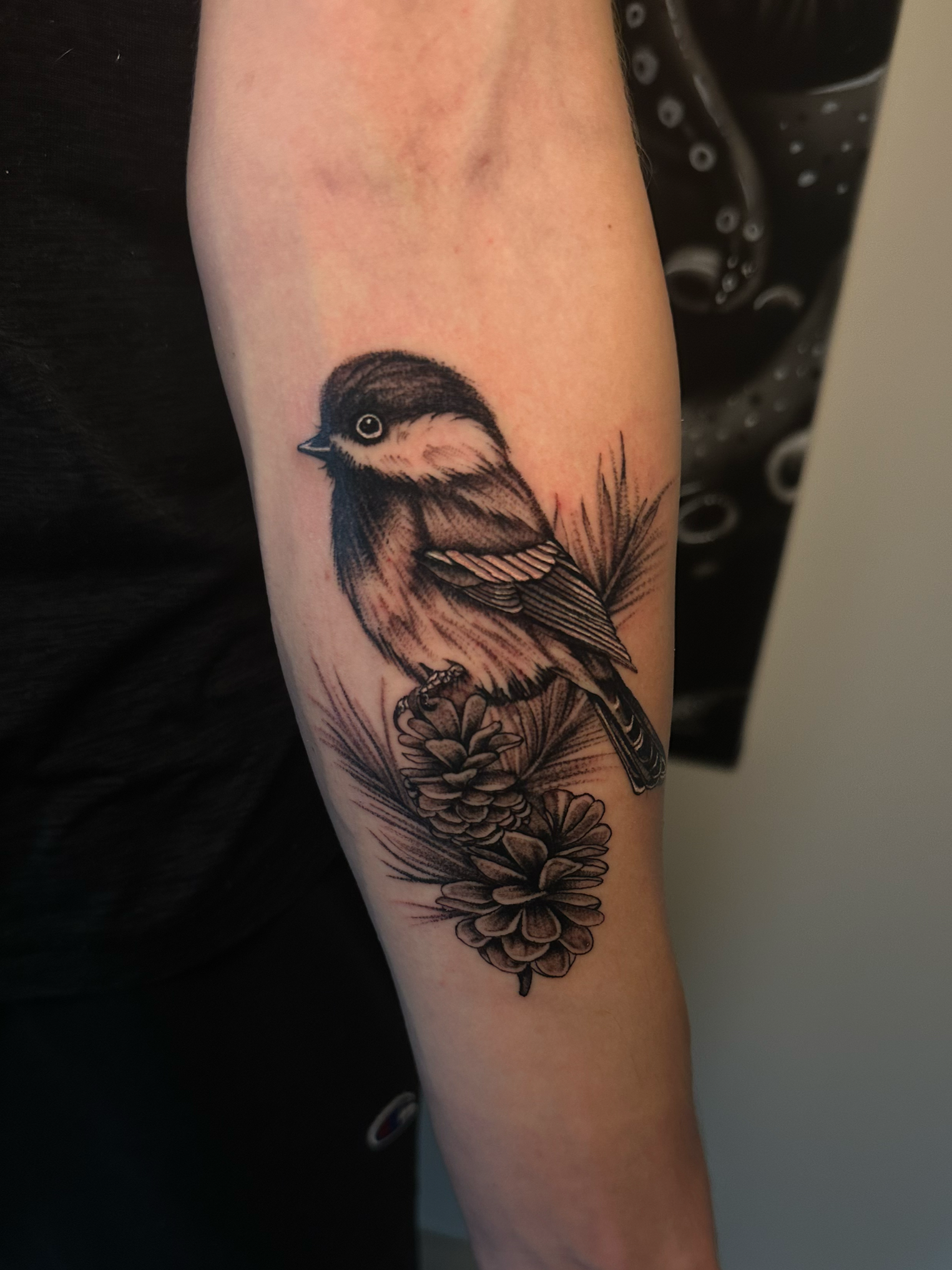 Forearm tattoo featuring a bird and pine cones