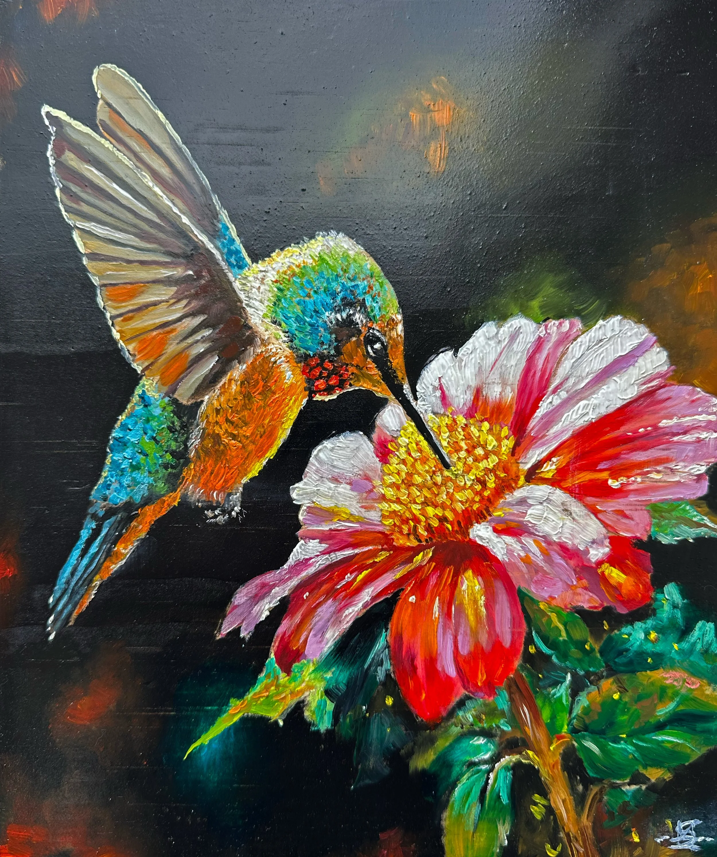 HummingBird.jpg