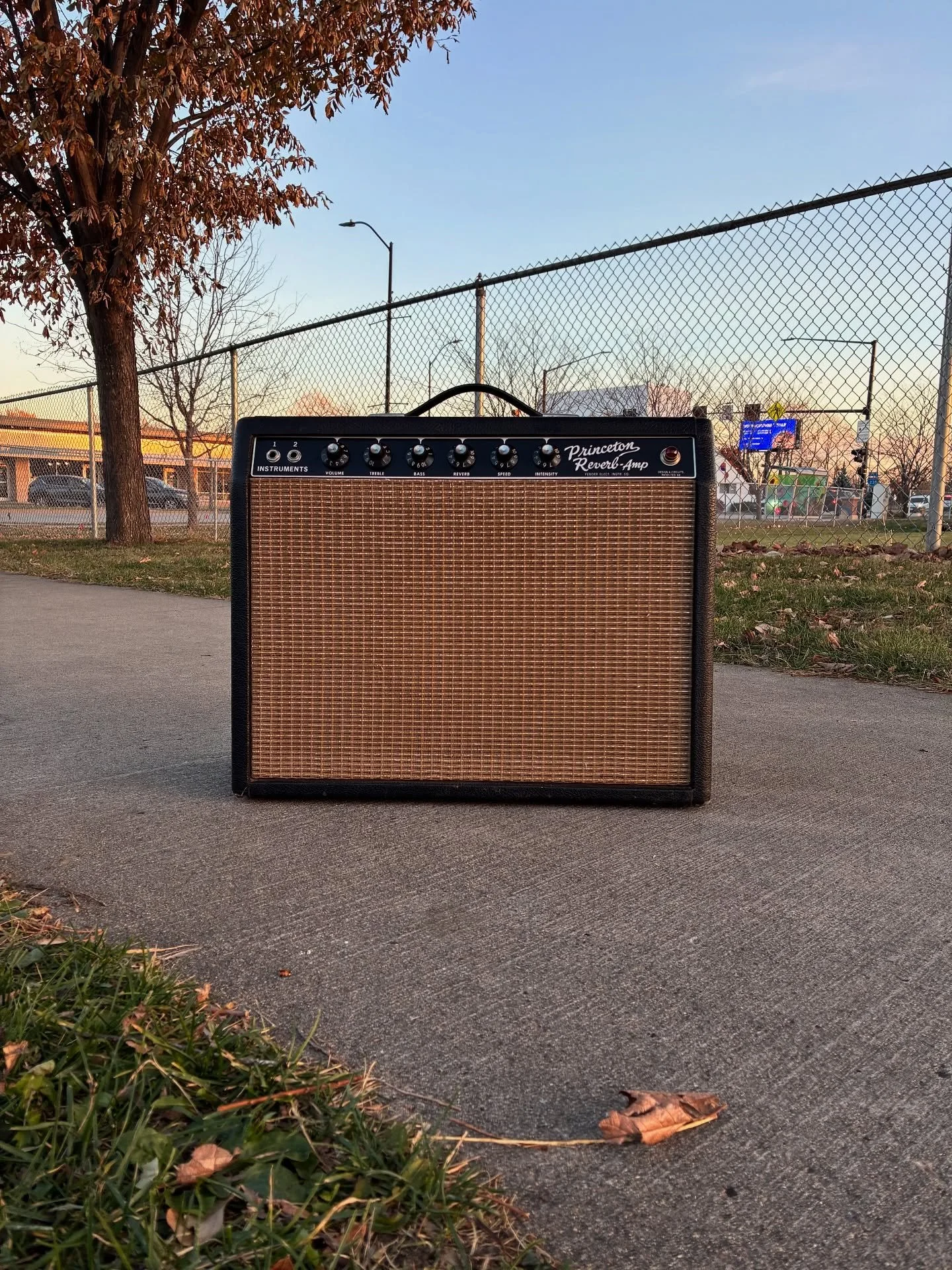 Minty 1965 Princeton Reverb on the nicest day of fall so far this year. A rare moment of bliss.