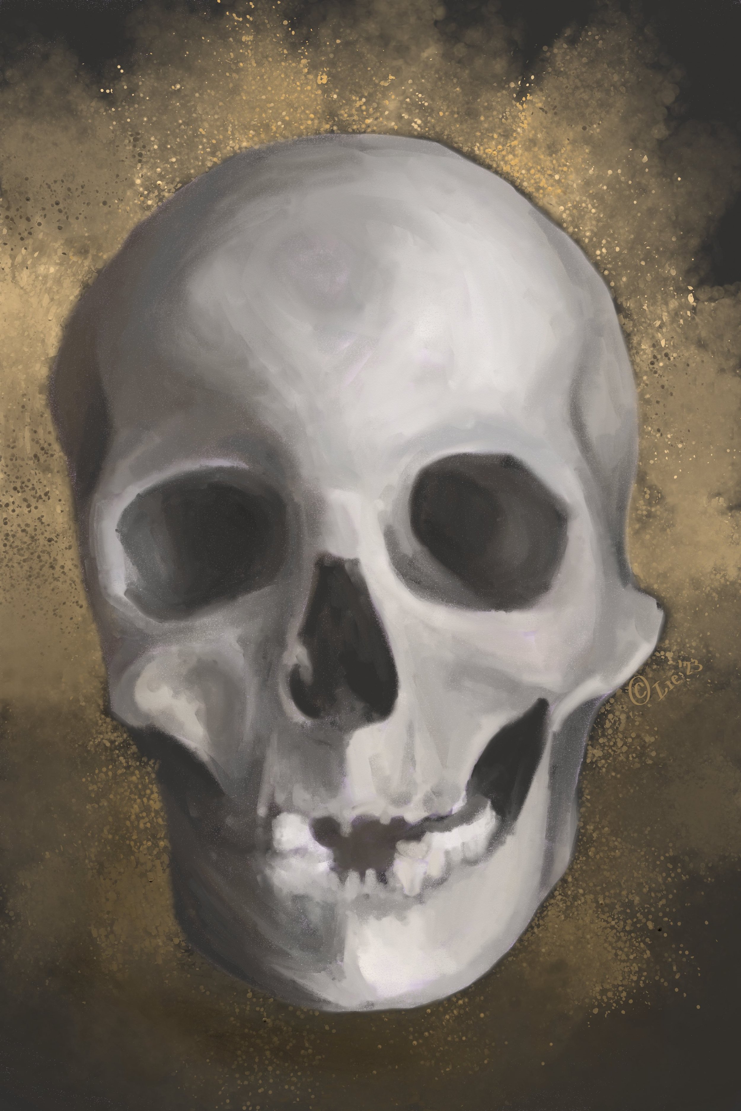 skull2.jpg