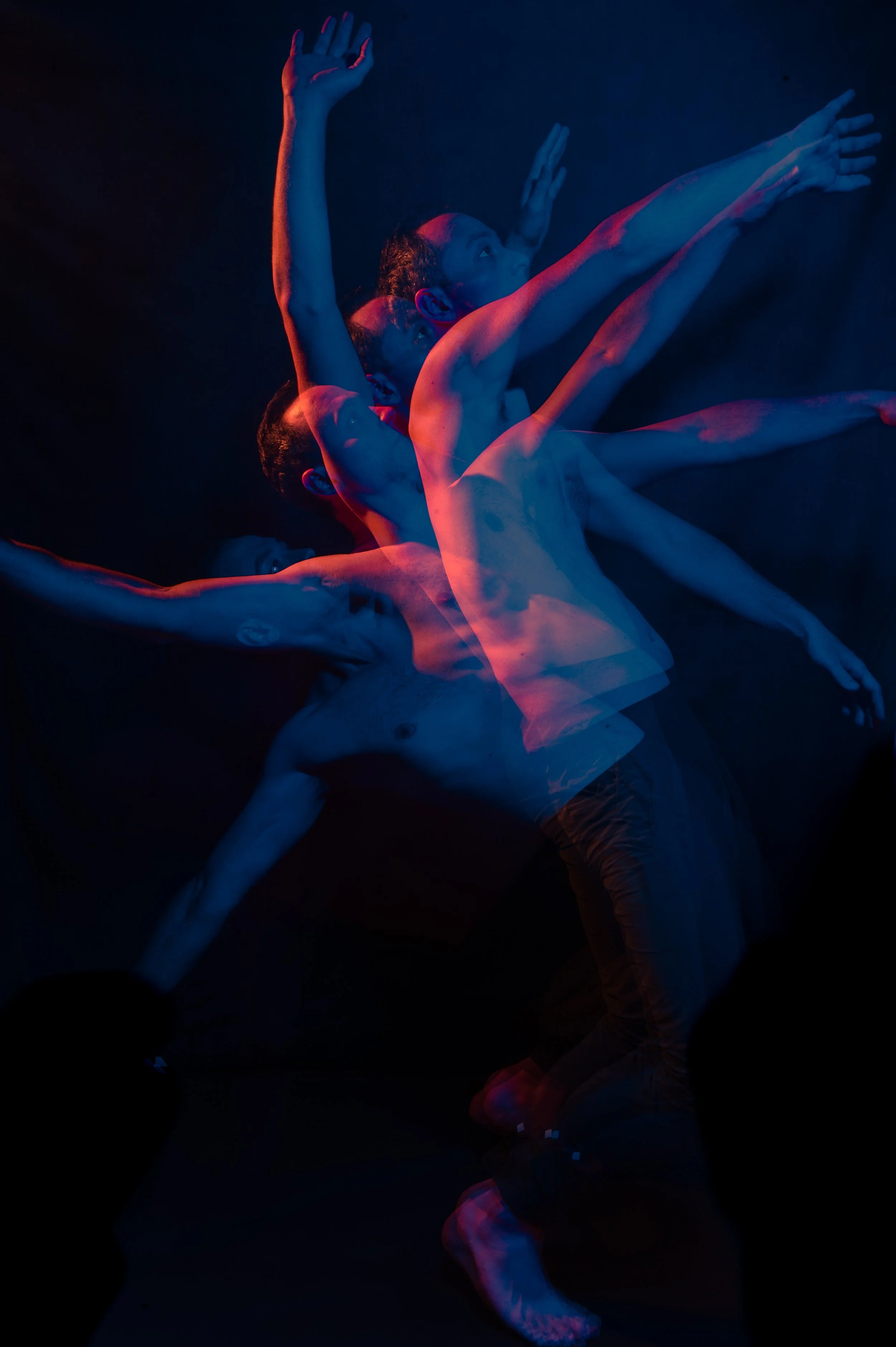 DSC_8331.jpg
