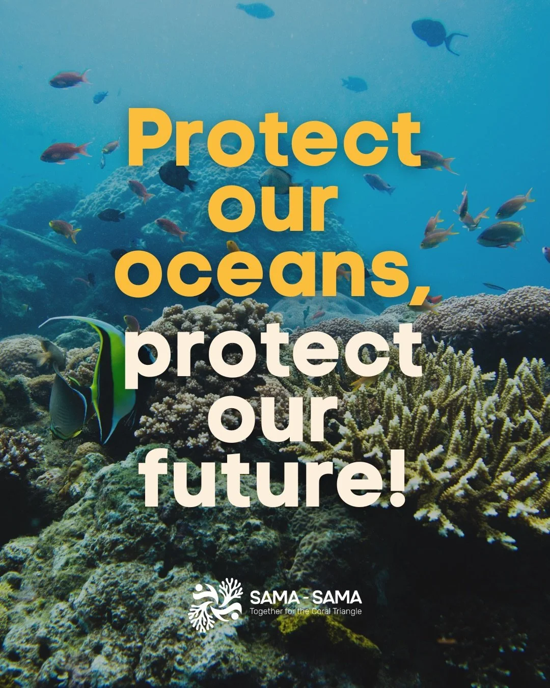 Biodiversity is our strongest natural defense against climate change. Marine ecosystems, including healthy coral reefs, serve as critical buffers against extreme weather events, mitigating the impacts of the climate crisis.&nbsp;

Unfortunately, the 