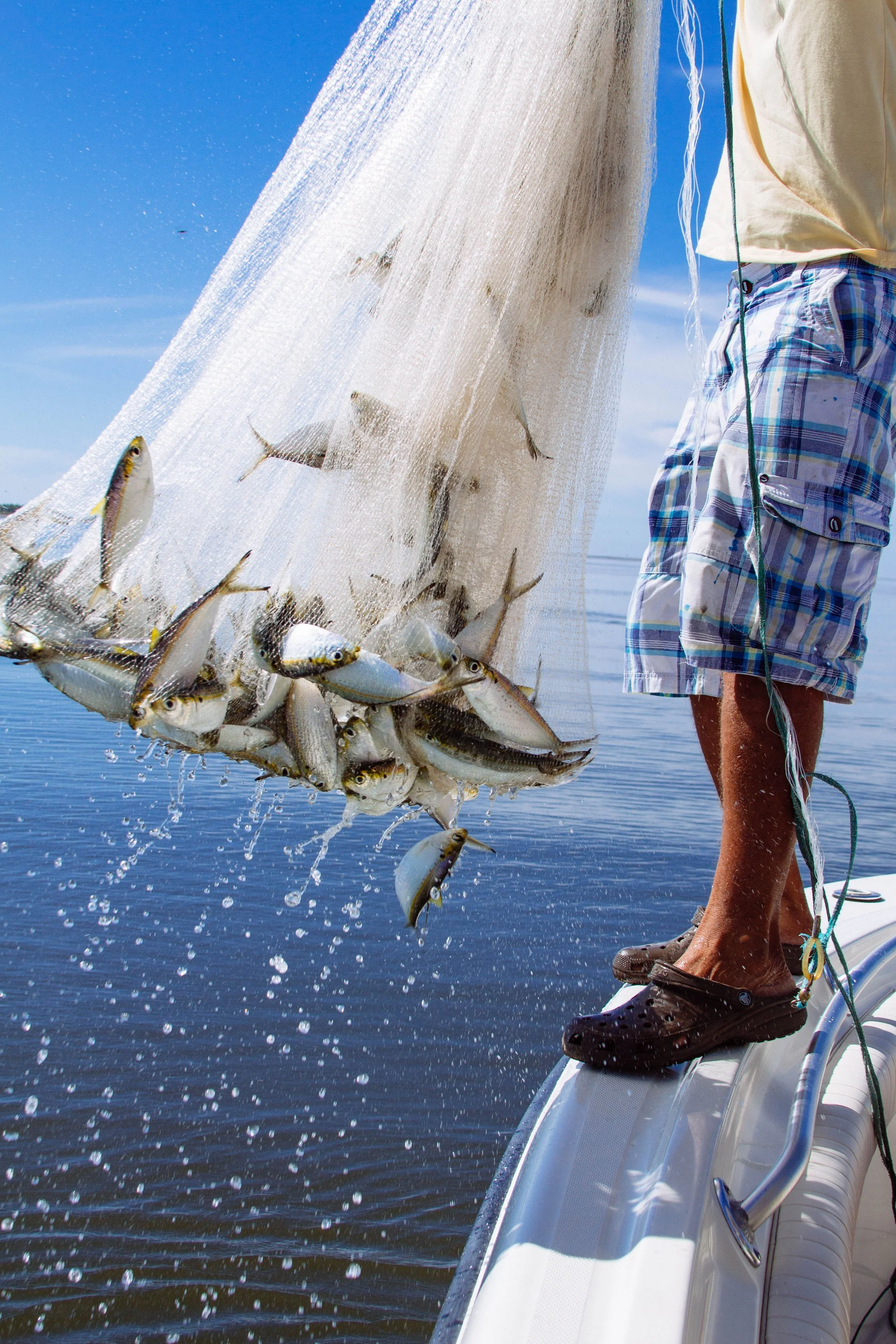 CASE Awarded NOAA SEFSC FATES Scientific Support Work