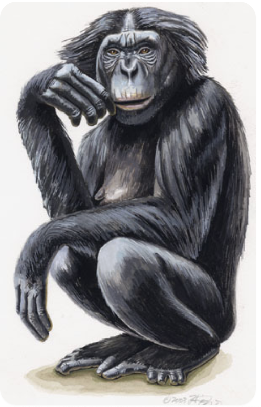 Screenshot 2026-02-16 at 3.01.05 PM.png