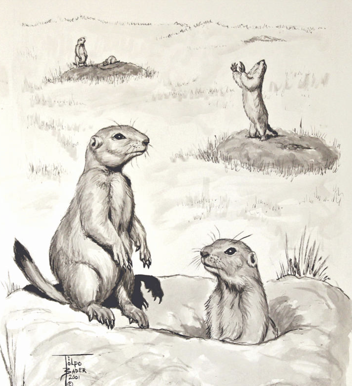 Screenshot 2026-02-16 at 3.03.20 PM.png