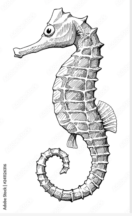 Screenshot 2026-02-16 at 3.03.35 PM.png