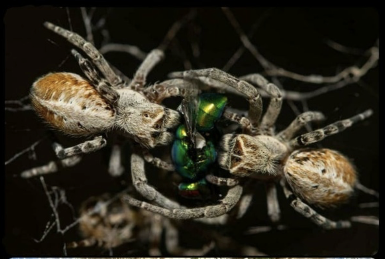 Screenshot 2026-03-15 at 7.06.01 AM.png