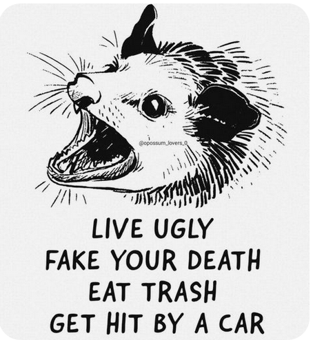 Screenshot 2026-03-22 at 7.22.31 PM.png