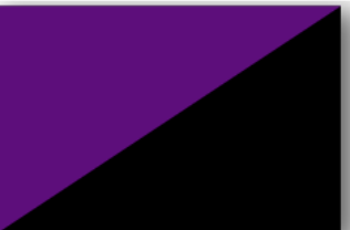 Anarcha-Feminism.png