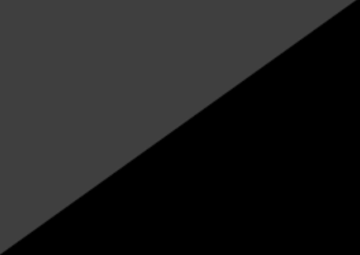 Anarcho-Nihilist.png