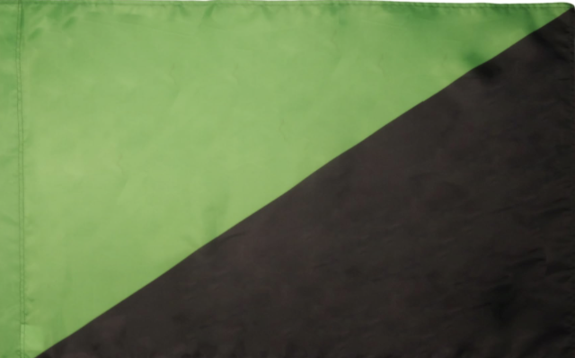 anarcho-primitve.png