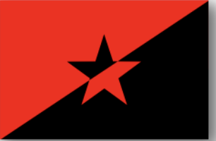 Platformist Anarchism.png