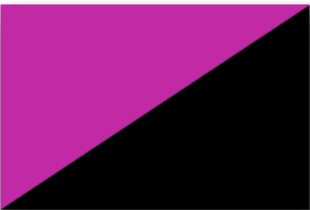 Queer Anarchism.png