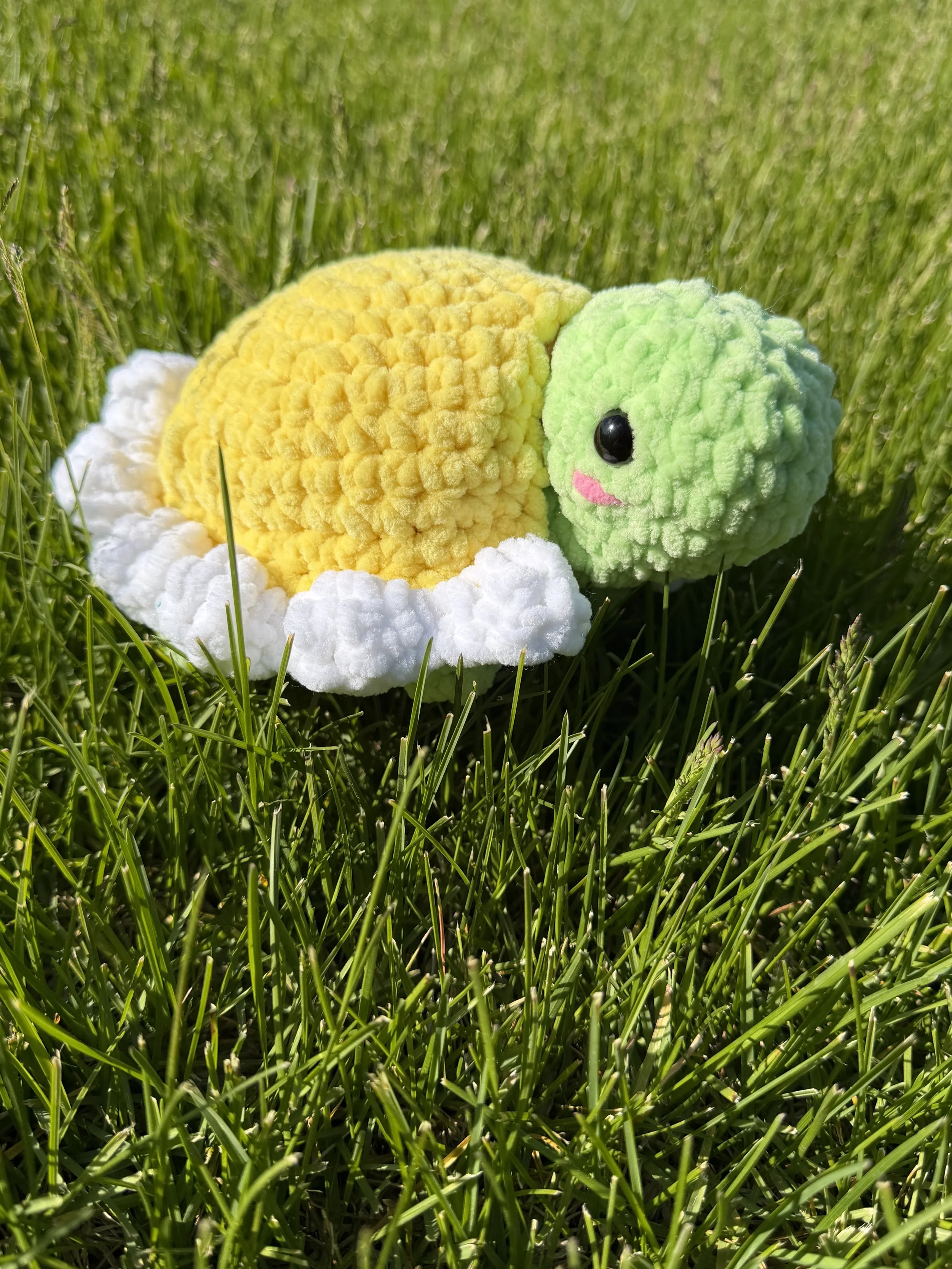 Turtle Traveler's Wardrobe