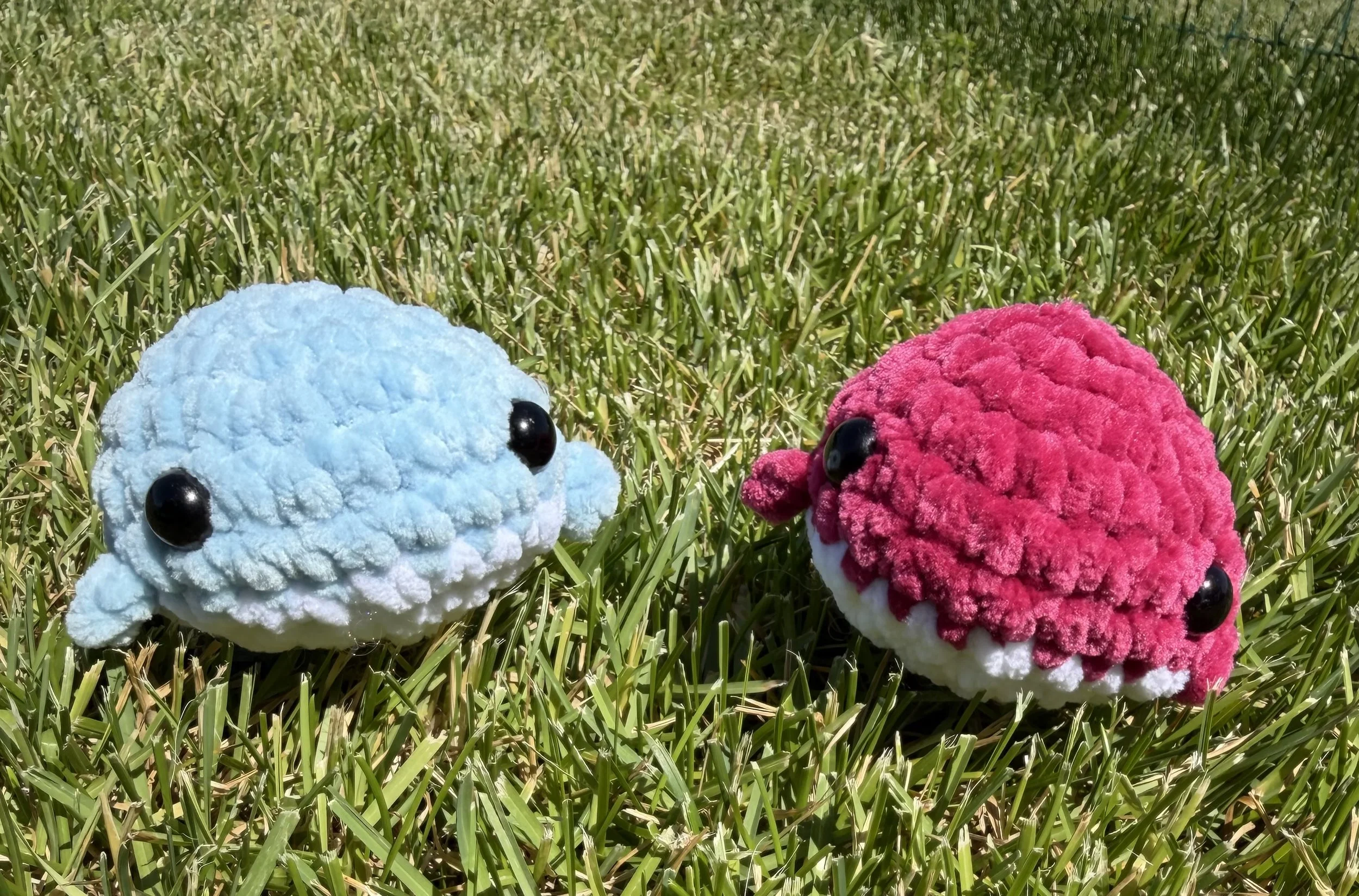 Land Whales