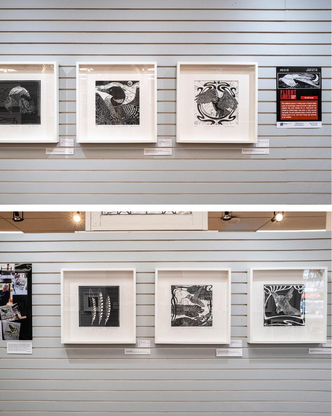 Flight Lines is on view at Pearl Ellis Gallery.

These limited-edition prints by Tashi Draper focus on birds in motion; an owl crossing a full moon, a heron moving through branches. 

They&rsquo;re worth seeing in person.

📍 1729 Comox Ave
Admission