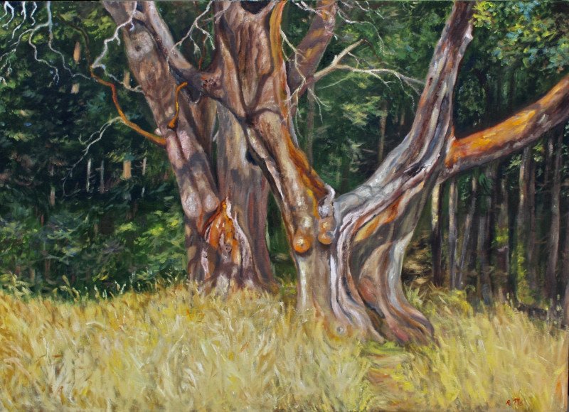 April MacQueen art
