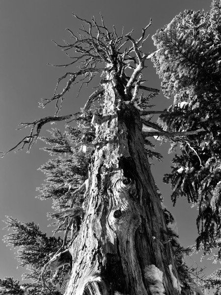 Glenn Gustafson photography