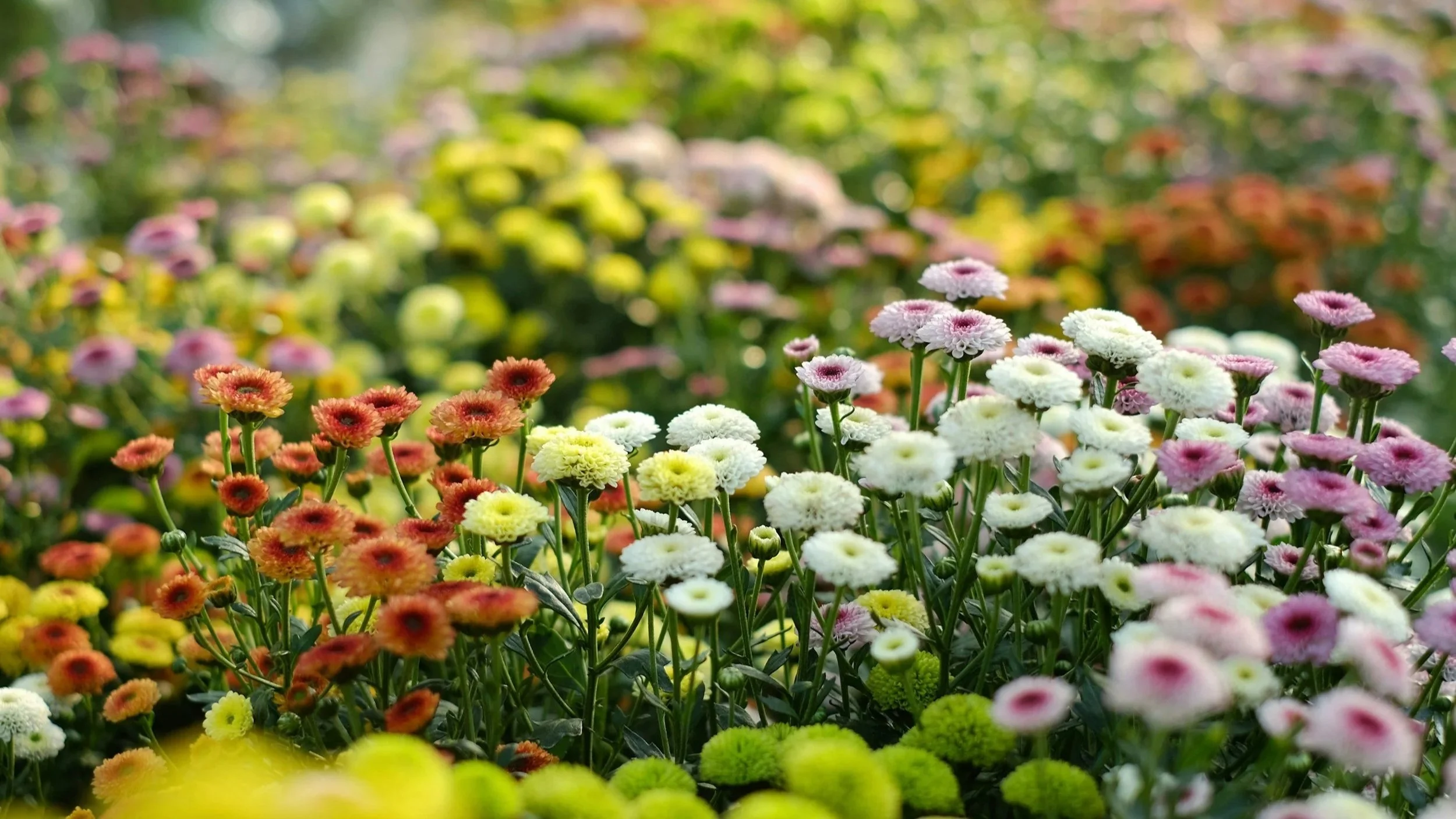 Vietnam Economic News: 14.2 - 21.2.2026 