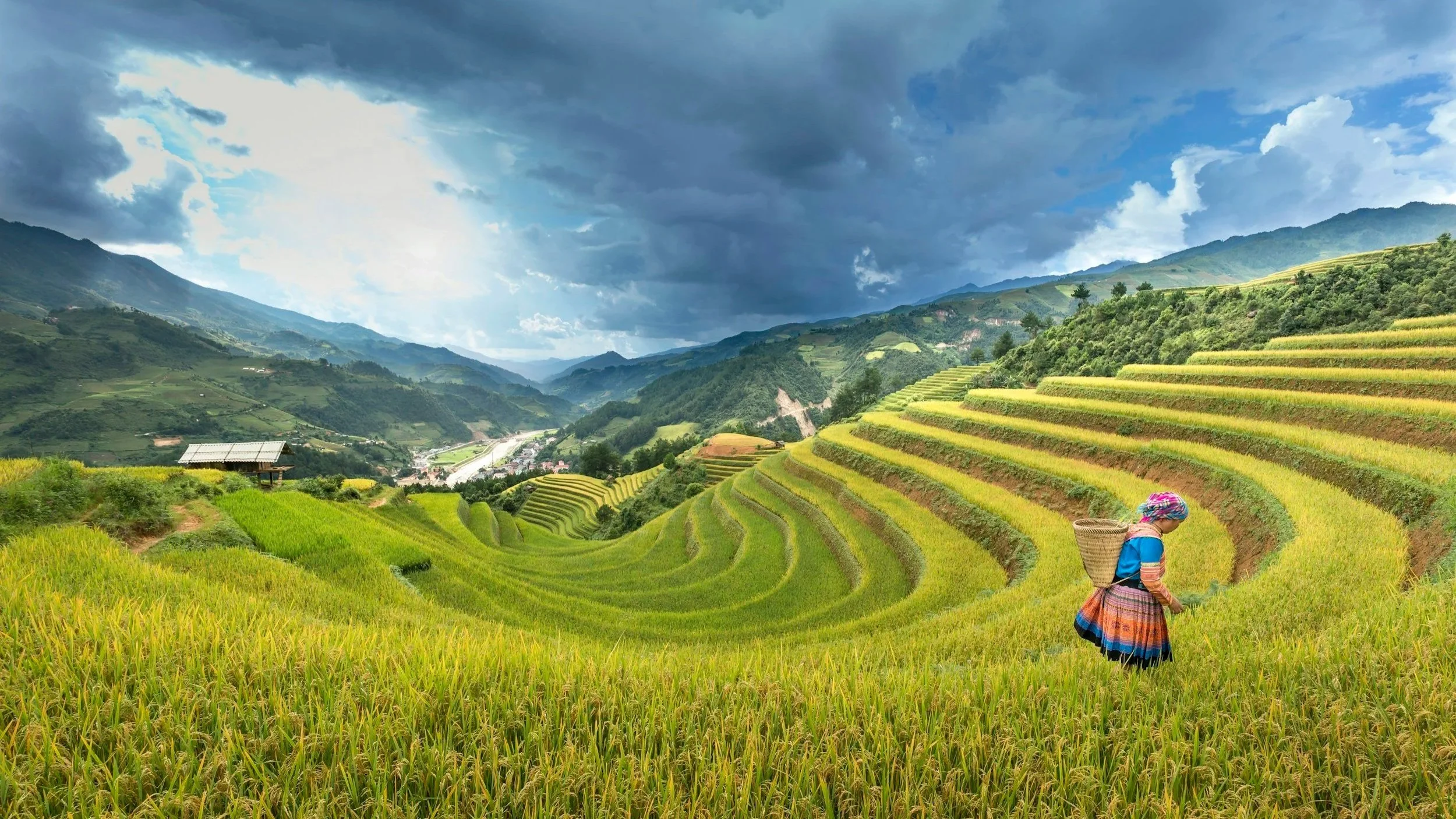 Vietnam Economic News: 1.5 - 8.5.2026 