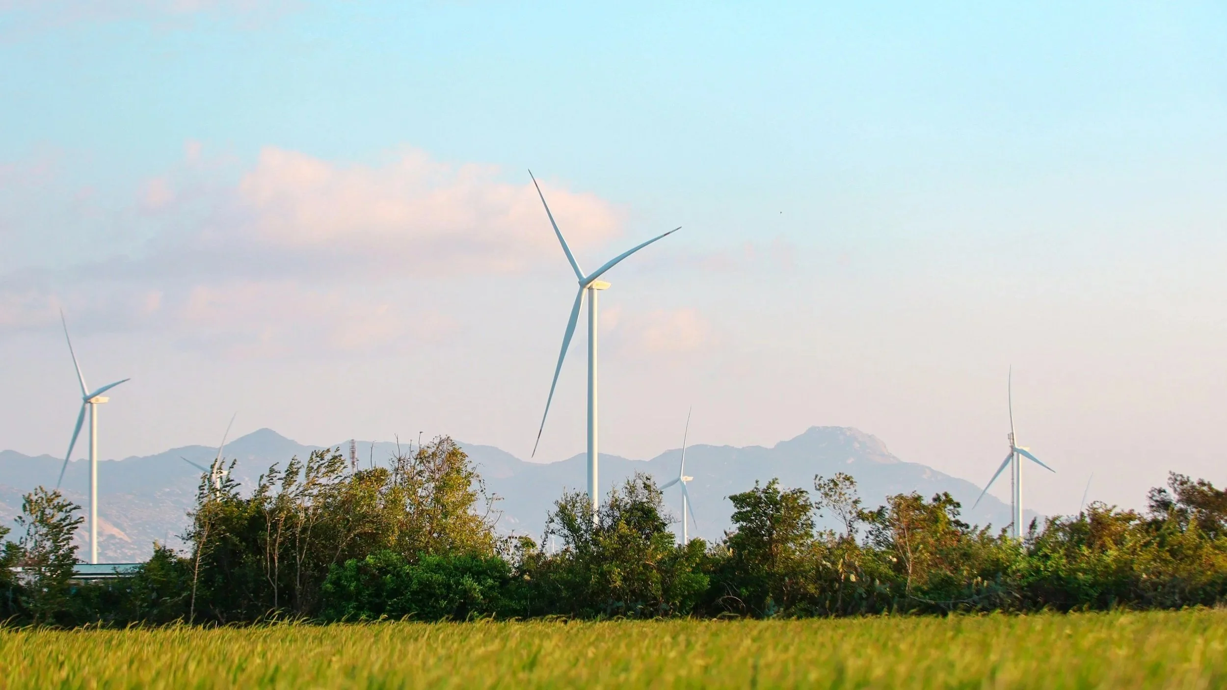 Energy Transition Update: 11.5 - 18.5.2026