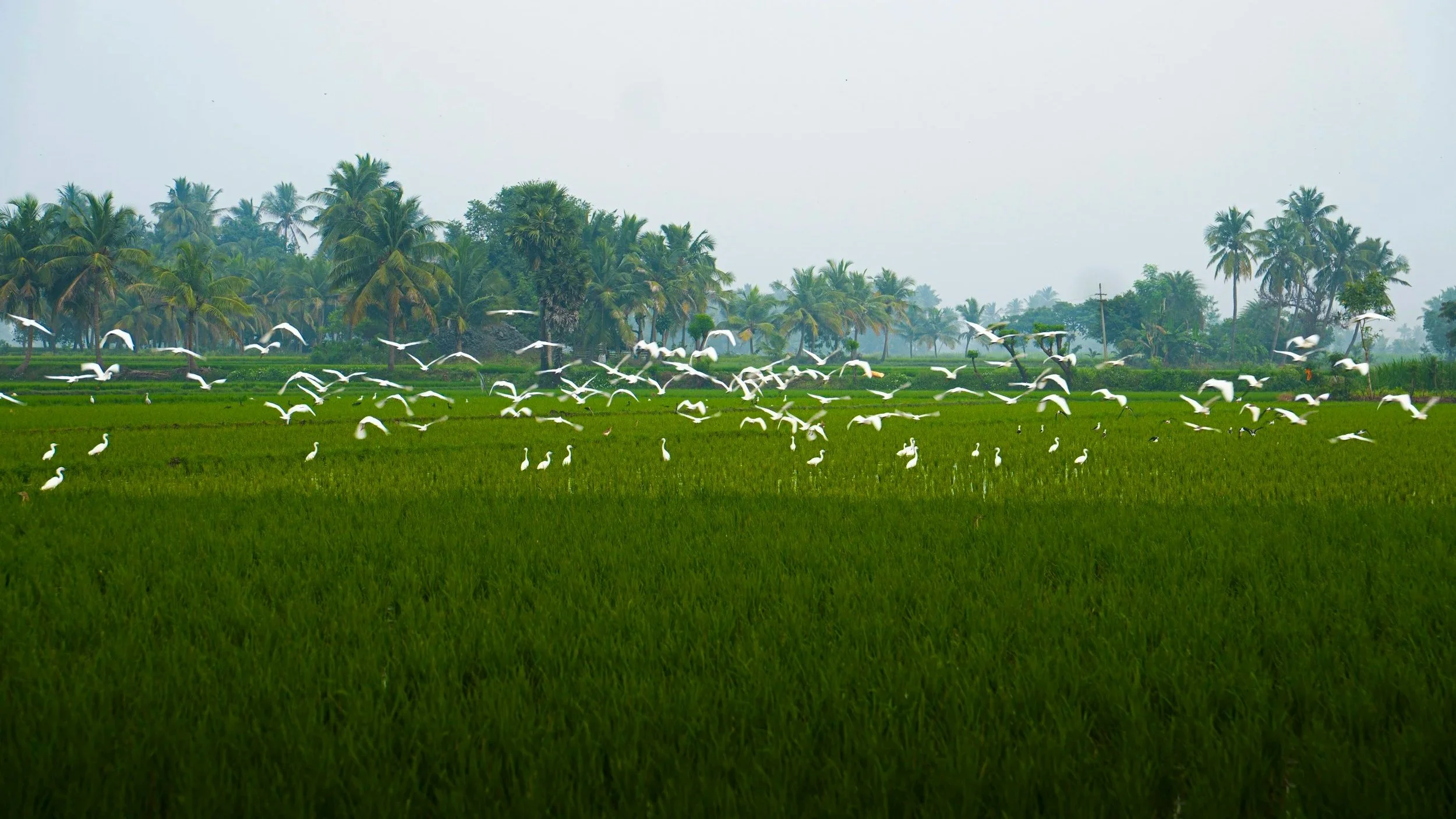 Vietnam Economic News: 20.6 - 27.6.2026